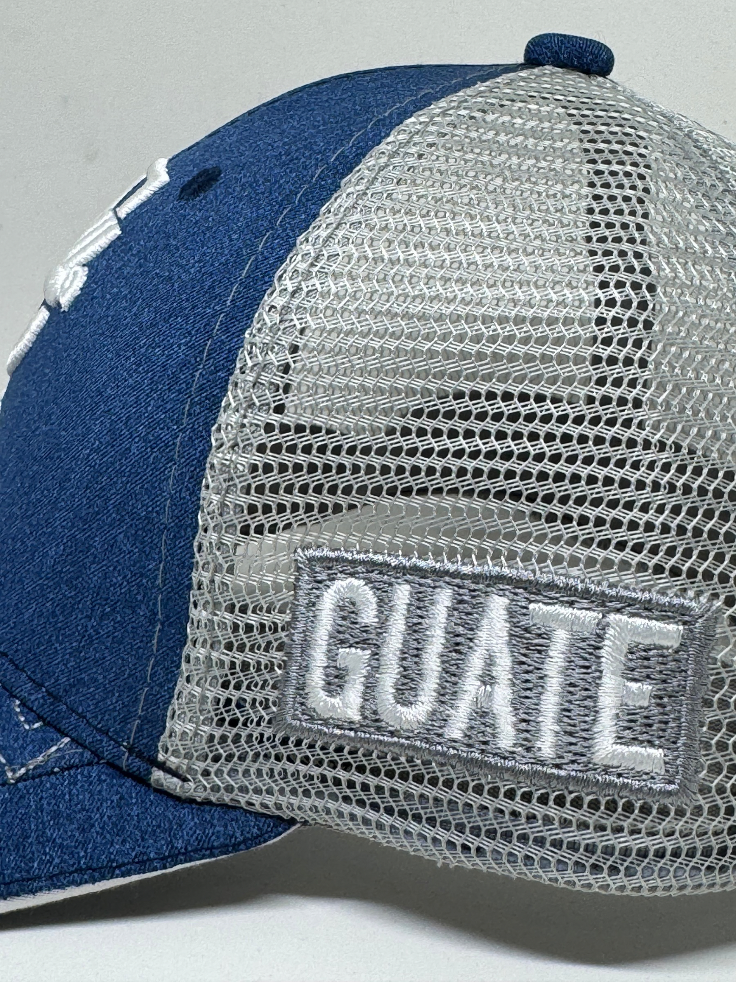 Selección 2025 Celeste Trucker